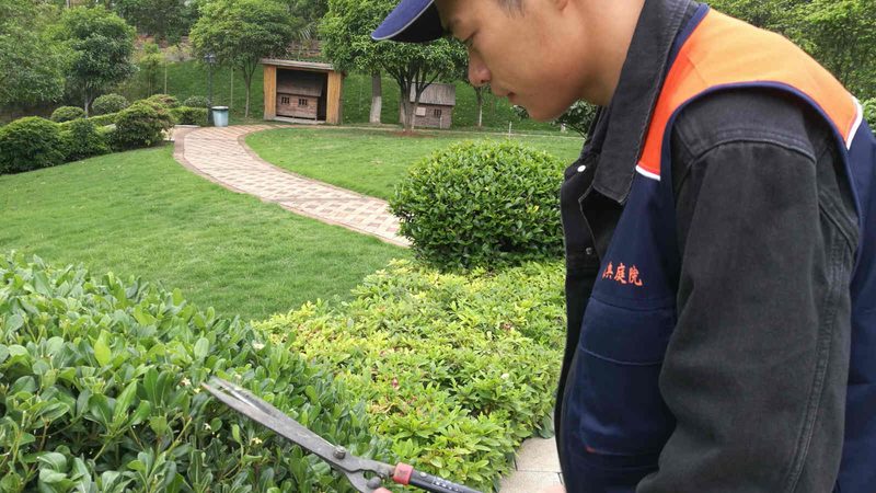 绿化养护价格：揭秘一平方报价背后的秘密**