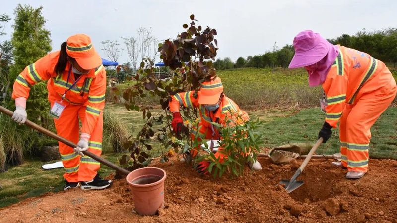 草坪养护，草坪机选型指南：大型号参数解析