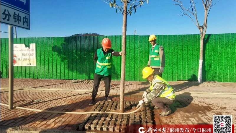 草坪铺设养护注意事项：细节决定成败