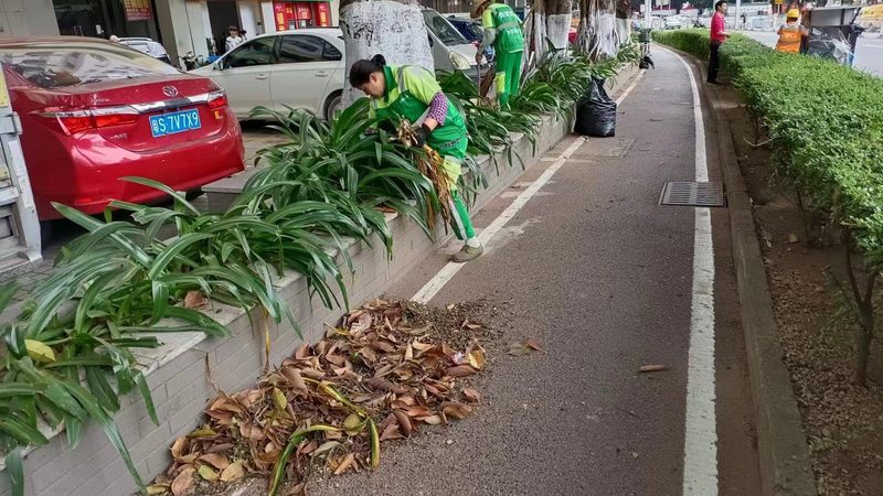 成都别墅花园设计公司排名前十