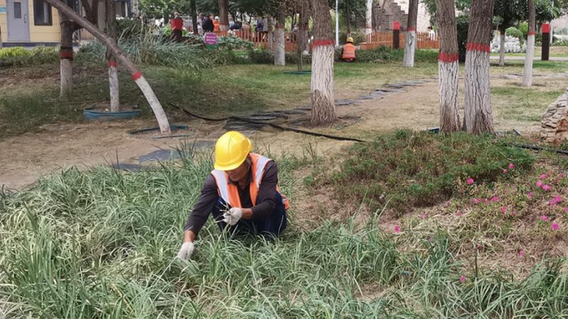 庭院灯光布局设计步骤流程