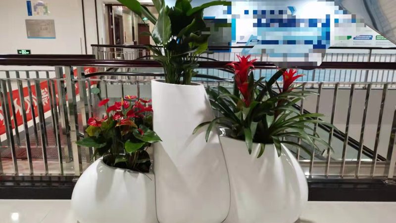 城市园林苗木种植费用构成解析**