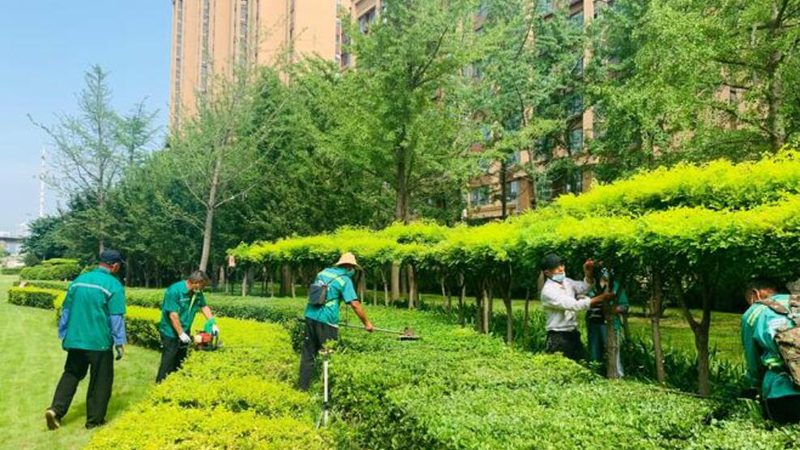 太阳能路灯电池容量配比：关键因素与计算方法